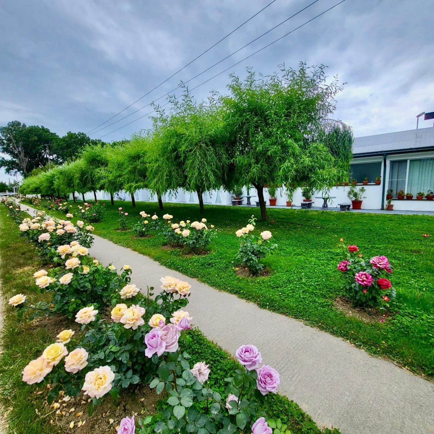 Royal Park Complex Hotel Bascov Ngoại thất bức ảnh